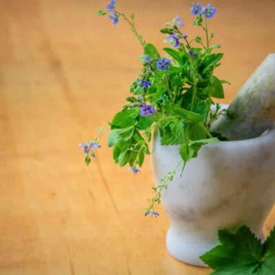 Herb Your Enthusiasm with Natural Healing