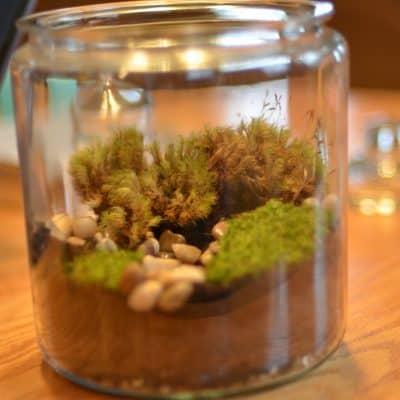 Terrarium Craft - This Mama Loves