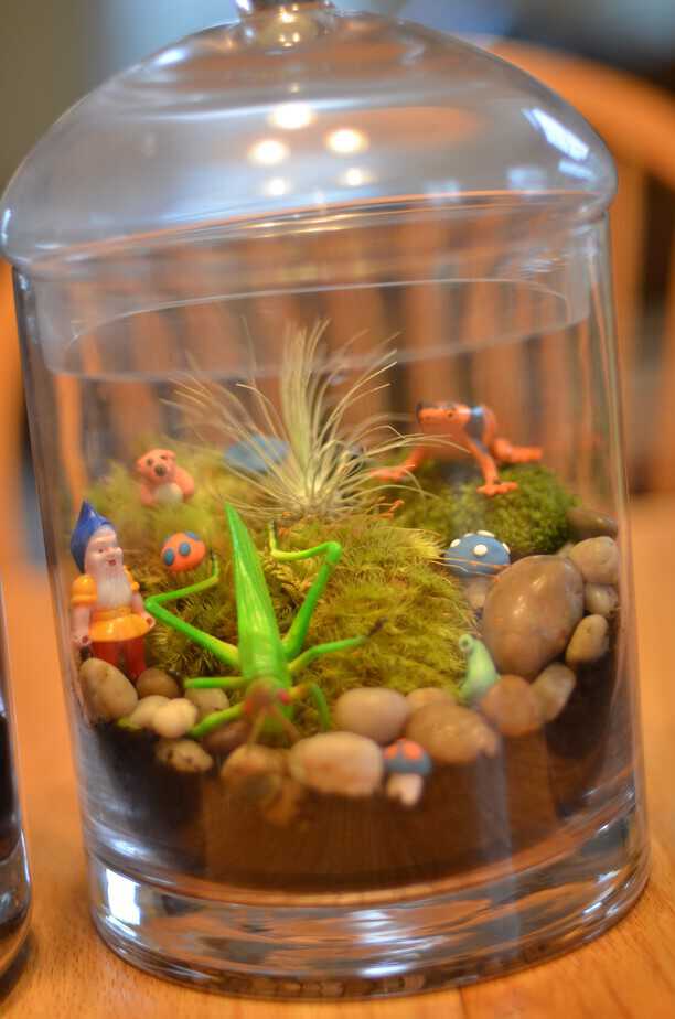 You Can Make a Terrarium Your Kids Will Love! Here's How