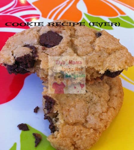 the best chocolate chip cookie recipe ever