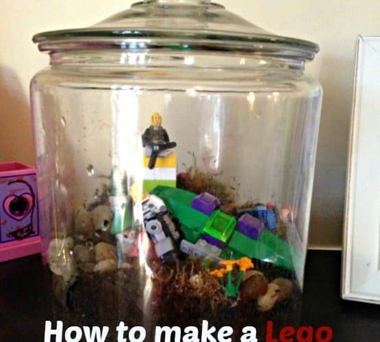 how to make a lego terrarium