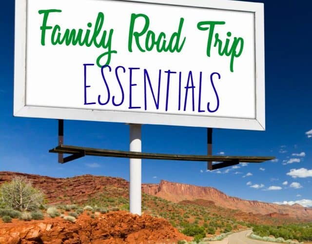 Family Road Trip Essentials- This Mama Loves