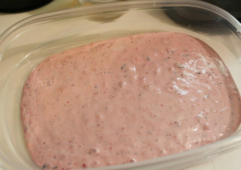 Berry Bramble Homemade Frozen Yogurt - This Mama Loves