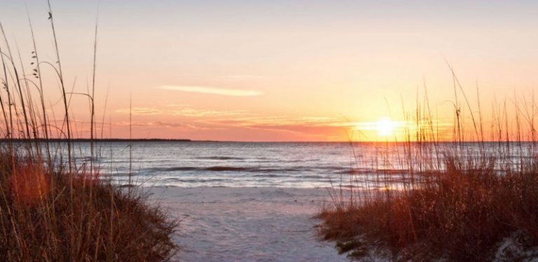 Beach Bucket List- Gulf County Adventures - This Mama Loves