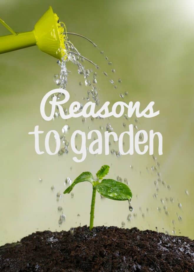 8 Reasons to Garden - This Mama Loves