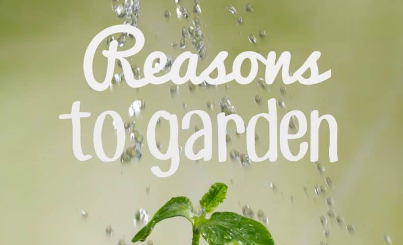 8 Reasons to Garden- This Mama Loves