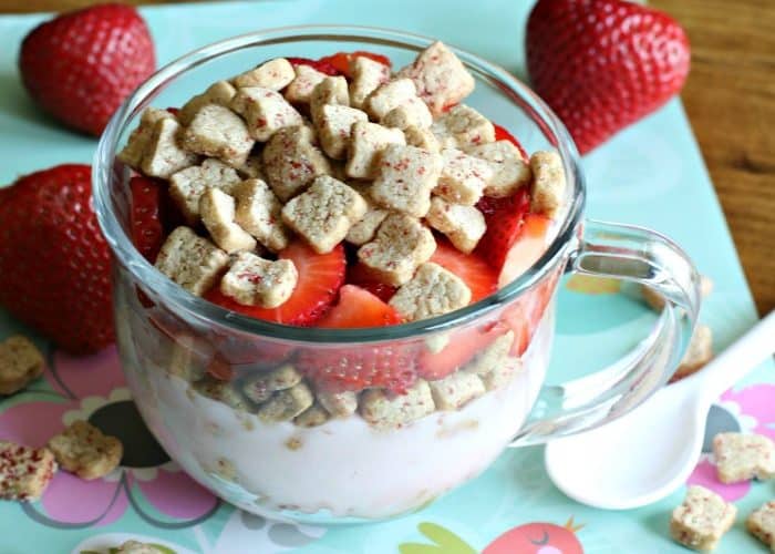 Strawberry Yogurt Breakfast Bowl / This Mama Loves