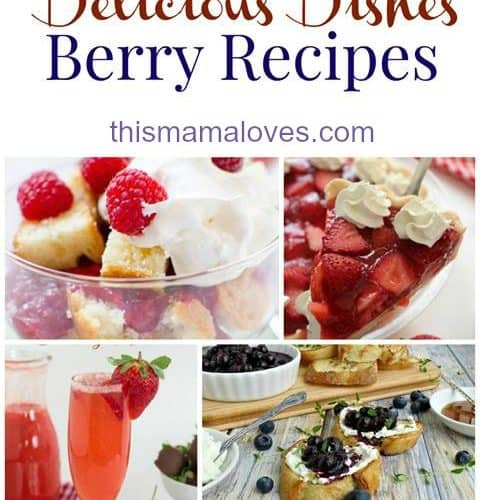 Delicious Dishes Berry Party long