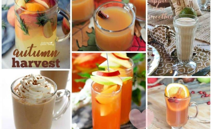 Fun Fall Drinks Non Alcoholic Fall Drinks Fall Mocktails