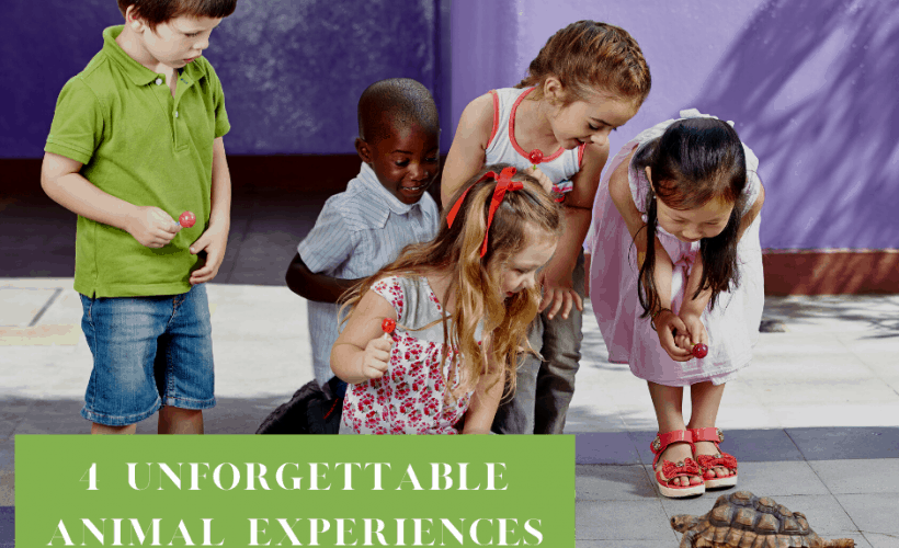 4 Unforgettable Animal Experiences For Kids